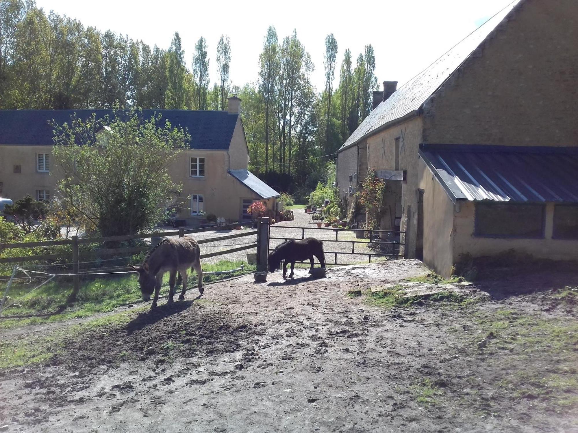Gite Du Jardin Des Sources Vaux-sur-Seulles Bagian luar foto